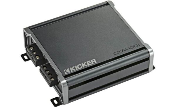 46CXA4001 - Image 4